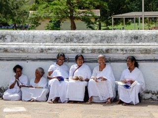 Afbeelding bij 8 daagse rondreis, de Culturele hoogte punten van Sri Lanka op privé basis